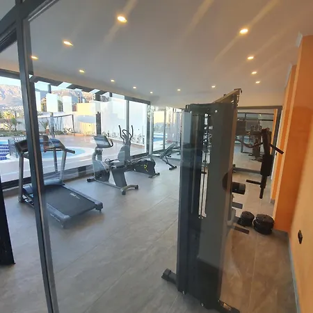 Dreamy Luxury Duplex With 300 Meters Of Private Garden Alanya