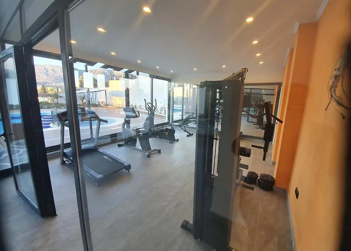 Dreamy Luxury Duplex With 300 Meters Of Private Garden Alanya